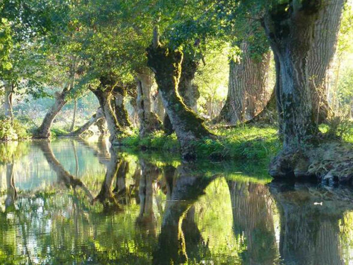 La Laujere Ivie - Gite & Piscine Privative Saint-Hilaire-du-Bois  Екстер'єр фото